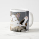 Search for baby cats mugs Funny