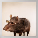Search for migration art Animal