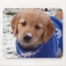 Search for golden retriever mousepads Snow