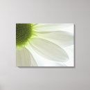 Search for petal canvas prints Botanical