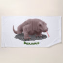 Search for dragon beach towels Lizard