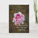 Search for friendship cards Humour
