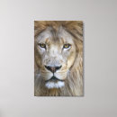 Search for panthera canvas prints Captive