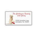 Search for golden retrievers return address labels Yellow