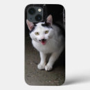 Search for cat iphone 7 cases Animal