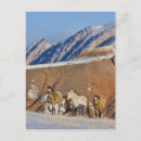 Search for blue horn postcards Sky