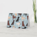 Search for black labrador retriever postcards Chocolate lab