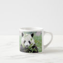Search for giant panda mugs Kawaii