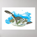 Search for swim design posters Sea turtle