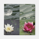 Search for flower pattern magnets Cool