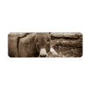 Search for donkey return address labels Animals