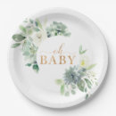 Search for succulent plates Greenery