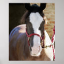 Search for stable posters Outdoors