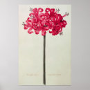 Search for bibliotheque posters Flower