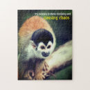 Search for monkey puzzles Funny