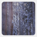Search for sequoia national park stickers Nature