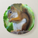 Search for red squirrel cushions Nature