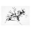 Search for biochemistry posters Abstract