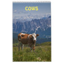 Search for calf calendars Cattle
