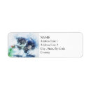 Search for splatter return address labels Abstract