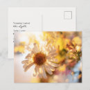 Search for spiritual postcards New age