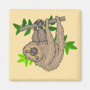 Search for hang magnets Sloth