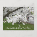 Search for park spring postcards New york city