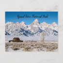 Search for np postcards Wyoming