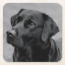 Search for black labrador coasters Retriever