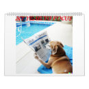 Search for make a difference office supplies School