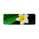 Search for hawaiian islands return address labels Flowers