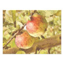 Search for apple tree art Apples