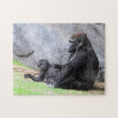 Search for babe puzzles Gorilla