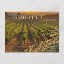 Search for wineries postcards Travel