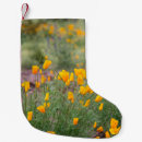 Search for cactus christmas stockings Arizona
