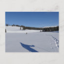 Search for snowshoing postcards Winter