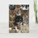 Search for cat lover birthday cards From the cat