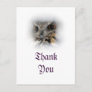 Search for eagle owl cards Owls