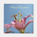 Search for callas magnets Lilies