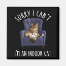 Search for inside envelope magnets Cats