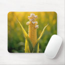 Search for cob Vegetable