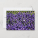 Search for river invitations Outdoors
