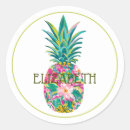 Search for tropical pineapple stickers Flowers