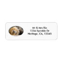 Search for open return address labels Wildlife