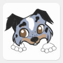 Search for blue merle stickers Sheltie