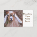 Search for herd business cards Livestock