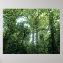 Search for kevin posters Tropical