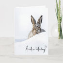 Search for rabbit birthday cards Bunny