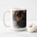 Search for ridgeback mugs Dogs