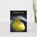 Search for white orchids cards Nature